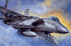 ACADEMY 1/48 F-15 C EAGLE
