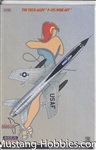 ALBATROSS MODELWORKS 1/48 THUD ALLEY "F-105 NOSE ART"