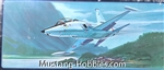 AMT/HASEGAWA 1/72 Fighter-Trainer Northrop F-5B