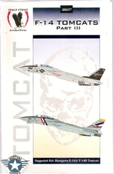 Eagle Strike Productions 1/48 F-14 TOMCATS PART 3