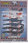 FIGHTER TOWN DECALS  1/48 NAVAIR CENTENIAL TRI-TONE TRIFECTA