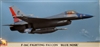 HASEGAWA 1/72 F-16C Falcon Blue Nose