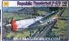 OTAKI/ARII 1/48 Republic Thunderbolt P-47D