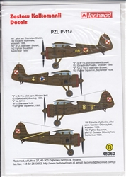 TECHMOD 1/48 PZL P-11C