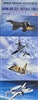 TSUKUDA 1/700 JAPAN NAVAL PLANE